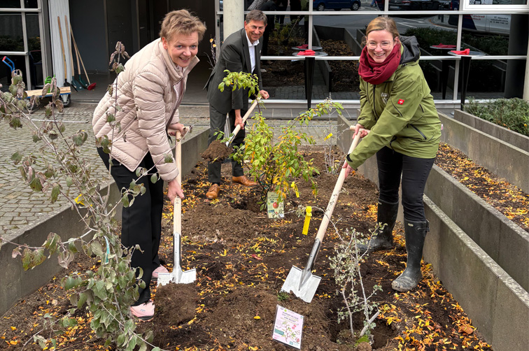 
        Erste WaldArtenInsel in Mainz wird gepflanzt.
    