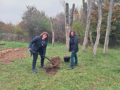 zwei Mitarbeiterinnen des SVRP pflanzen einen jungen Baum auf einer Waldlichtung.