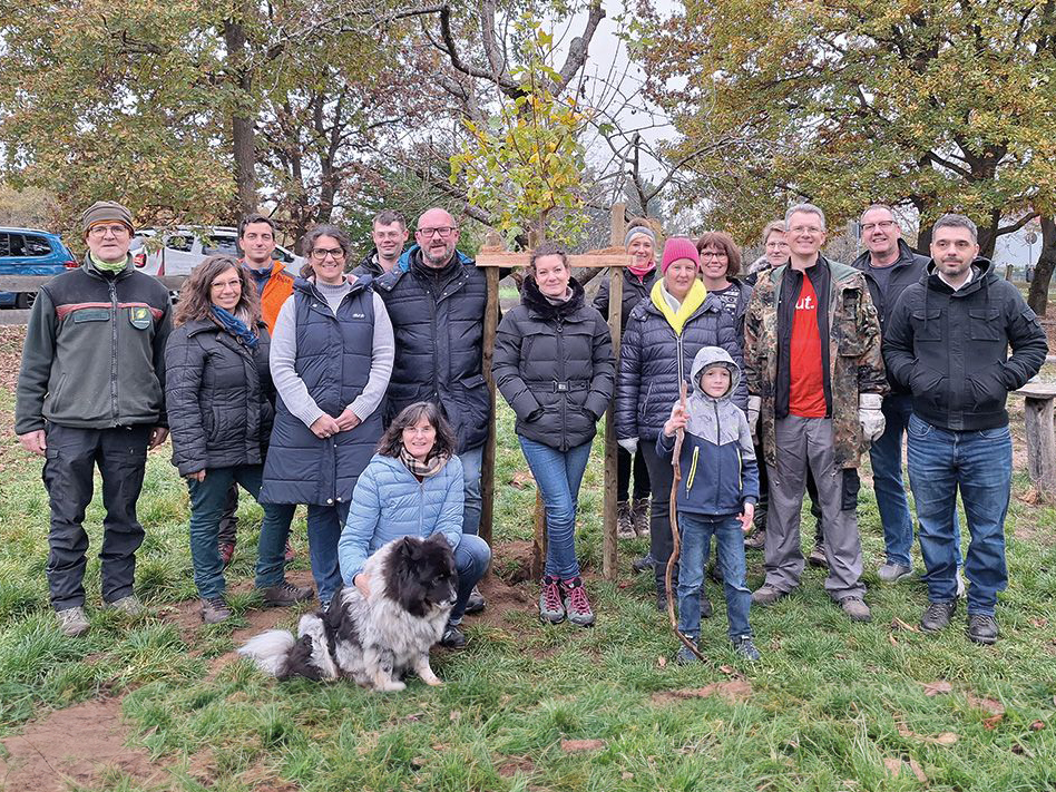 Gruppenbild der beteiligten SVRP-Mitarbeitenden nach erfolgreicher Baumpflanzaktion im Lennebergwald